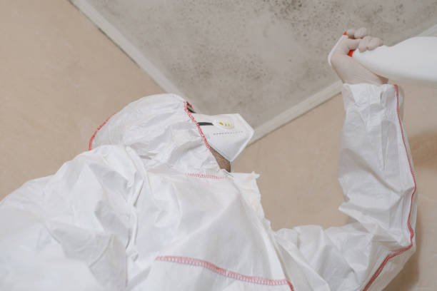 Best Residential Mold Removal  in Las Cruces, NM